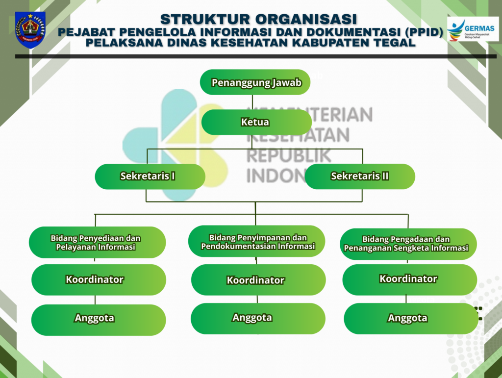Struktur Organisasi PPID Dinkes